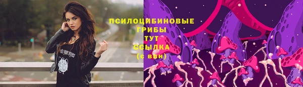 2c-b Заводоуковск