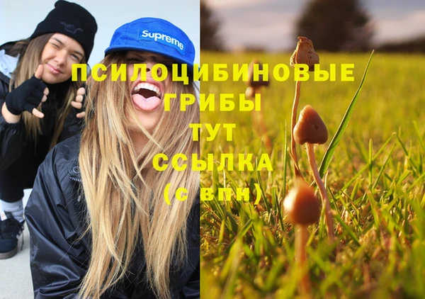 кокс Зеленодольск