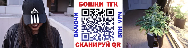 Шишки марихуана сатива  Купить закладки  Гвардейск 